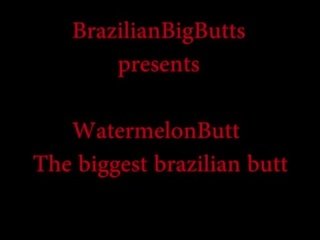 Watermelonbutt the suurin brasilialainen takapuoleninokan